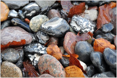 Serie: Steilküste (Foto: Karl-Heinz Richter)