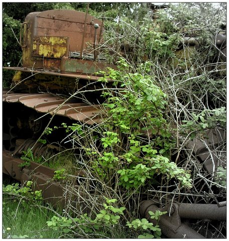 Serie: Rost (Foto: Karl-Heinz Richter)