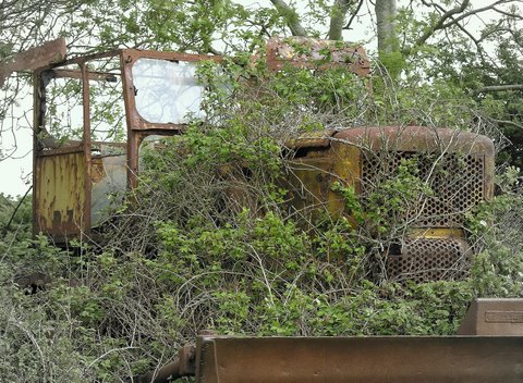 Serie: Rost (Foto: Karl-Heinz Richter)