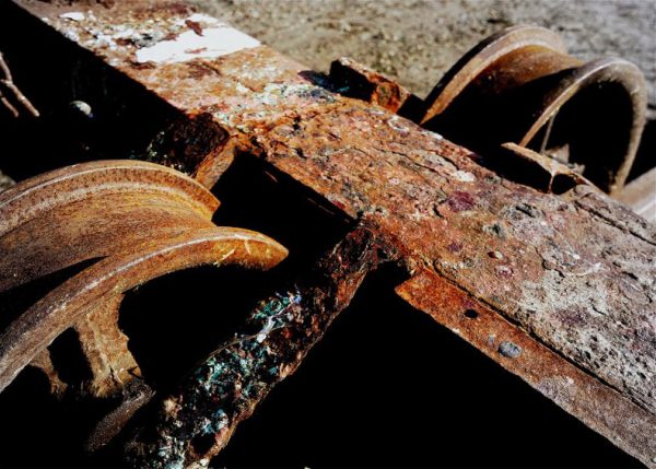 Serie: Rost (Foto: Karl-Heinz Richter)