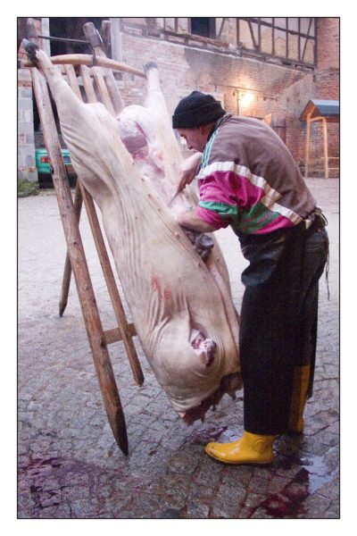 Serie: Schlachtfest (Foto: Tilo Bössel)