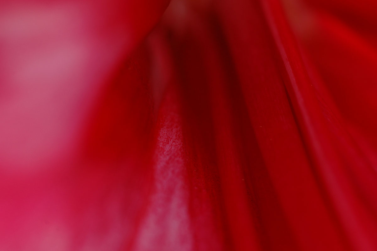 Fotoclub-Ausstellung "Bewegte Bilder"