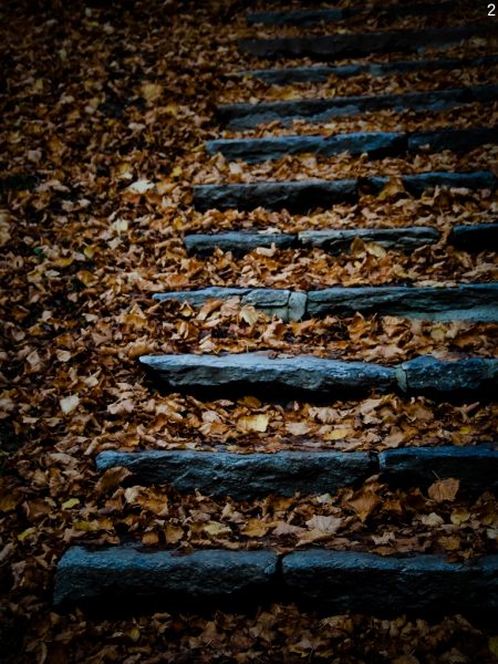 Serie: Wege (Foto: Peter Zastrow)